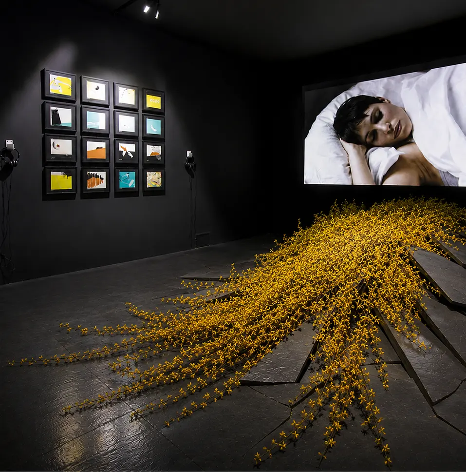 Desert Flower <span class="slider-custom-title">Installation view</em>